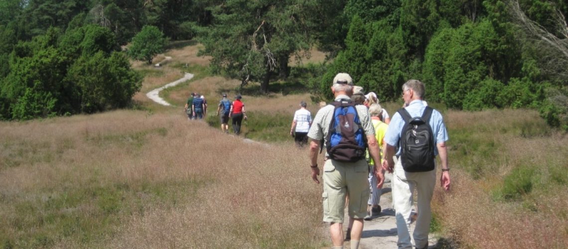 Wandern190623 4