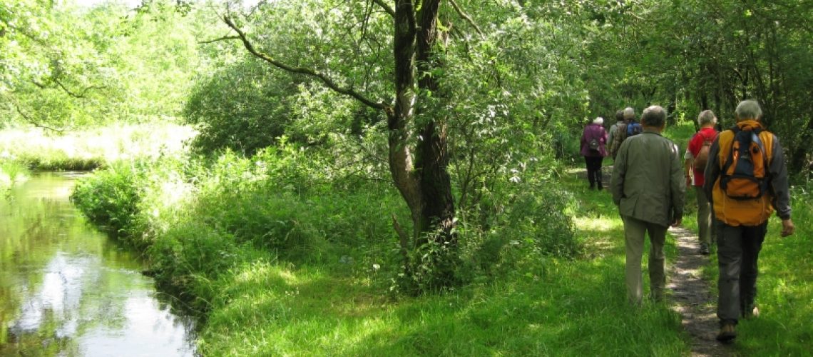 Wandern 3